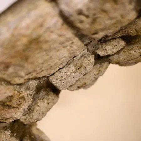 Apartment Via Nilo 30