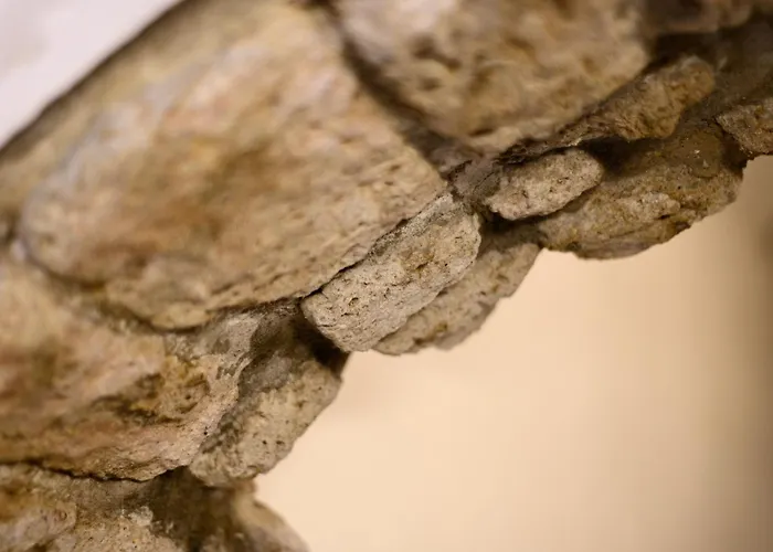 Appartamento Via Nilo 30